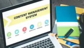 Content Management Systems